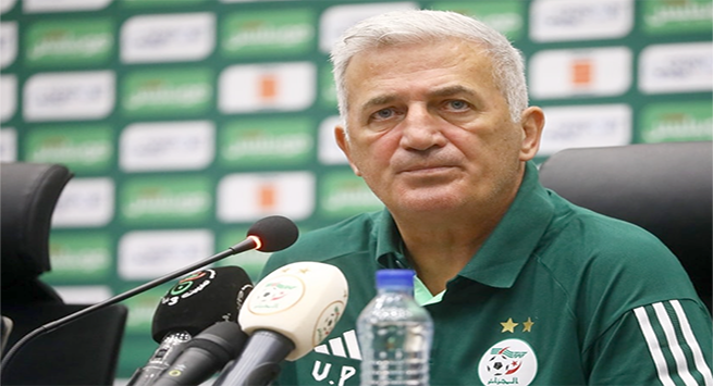 فلاديمير بيتكوفيتش