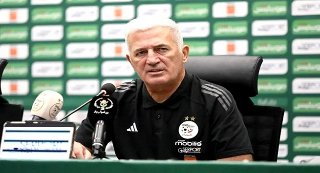 فلاديمير بيتكوفيتش