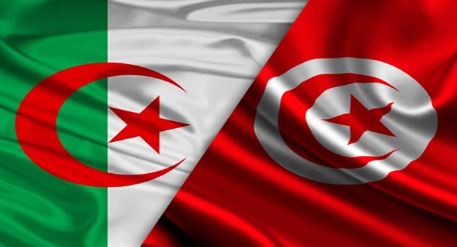 المنتخب التونسي ونظيره الجزائري